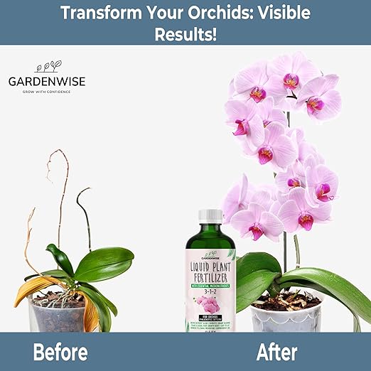 GARDENWISE Liquid Orchid Fertilizer Concentrate 3-1-2 with Micronutrients Orchid Care Made Easy (32 OZ)