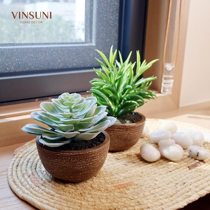 Artificial Plants Indoor with Pot, 2 Pack Fake Plants Indoor, Faux Succulents for Desk, Faux Greenery in Modern Farmhouse Decor, Home Decor Bathroom Bedroom Decor Aesthetic Coworker Gift