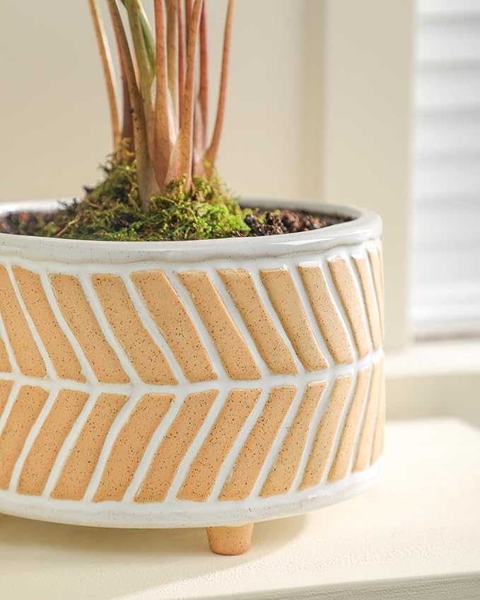 Fayoula Succulent Pots, 6 Inch Planters with Drainage Hole, Modern Indoor Plant Pots for Succulents, Herbs, Aloe, Snake Plant - Ceramic Home Décor, Set of 2