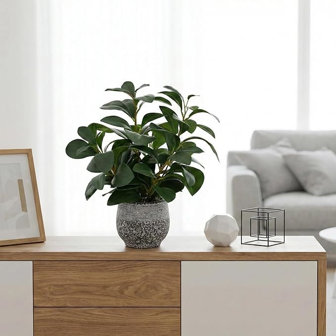 SHOHAYTO Artificial Plants for Home Decor - 13.2 Inch Fake Ficus Tree in Cement Planter, Real Looking Potted Faux Plants for Office Desk, Kitchen Shelf, Bookshelf & Indoor Decor