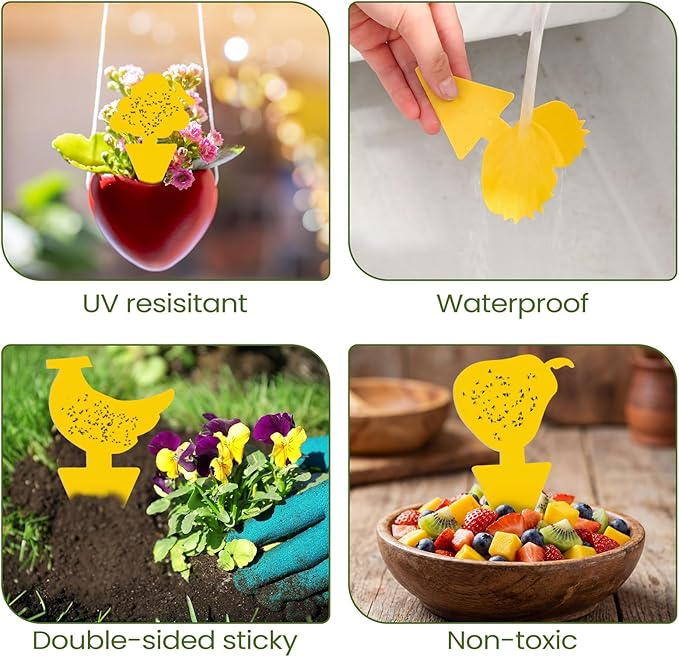 Qualirey 200 Sheets Fruit Fly Sticky Traps for Fruit Fly Gnat Trap for House Indoors Sticky Traps Catcher for Gnats Fungus Gnats Mosquito Catcher for Kitchen Outdoor Plants (Cute Style, Yellow)