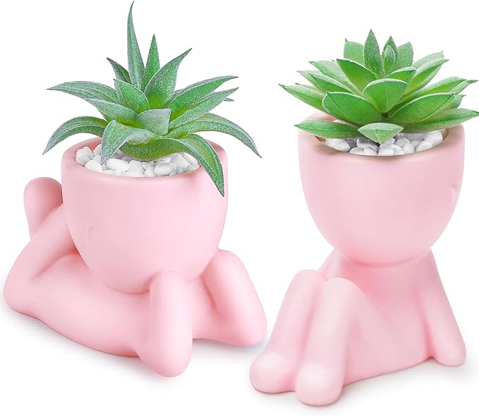 Der Rose 2 Pack Pink Succulents Plants Artificial Small Fake Plants Ideal Gift for Home Office Desk Decor