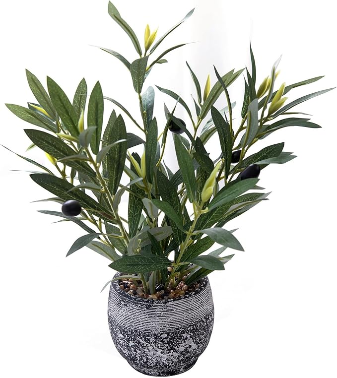 Indoor Faux Olive Plant 12 inch Artificial Silk Leaves in Elegant Planter Perfect Fake Olive Branches with Realistic Trunk and Lifelike Fruits Tabletop Greenery Decor for Home Office