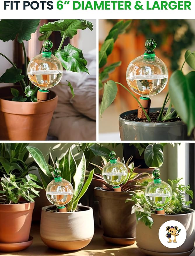 16 Oz Plant Watering Globes for Indoor Plants with Terracotta Self Watering Planter Insert - Premium XL Glass Hand-Blown Globe - Automatic Indoor Planter Waterer, Gift Idea for Gardeners [1, Clear]