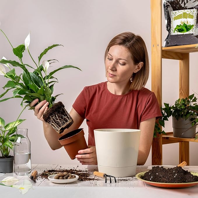 Doter Organic Peace Lily Soil Mix 4qt, Indoor Plants Potting Mix for Planting, Growing, or Repotting Peace Lily Plants, Grow Healthy houseplants Indoors