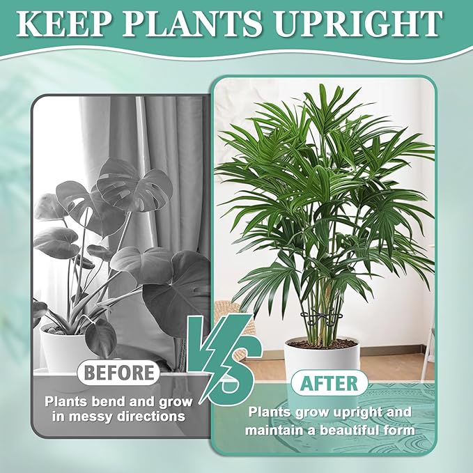 8pcs Plant Stem Support, Plant Support for Indoor Plants, Plastic Reusable Plant Stabilizer, Indoor Plants Accessories