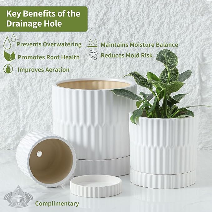 HASENSE Plant Pots - 8+6+4.6 Inch White Vertical Textured Ceramic Planters Set of 3 with Drainage Hole, Decorative Flower Pots for Indoor Plants, Herbs, Succulents, Home Office Desktop Garden Decor