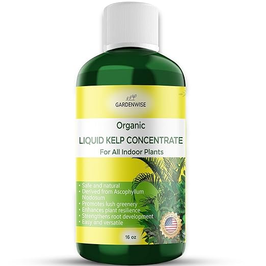 GARDENWISE Organic Premium Kelp Seaweed Fertilizer - Liquid Hydroponics Fertilizer - Liquid Plant Food - Nutrient-Rich Soil Enhancer - Natural Plant Food for All Indoor Plants (16 oz)