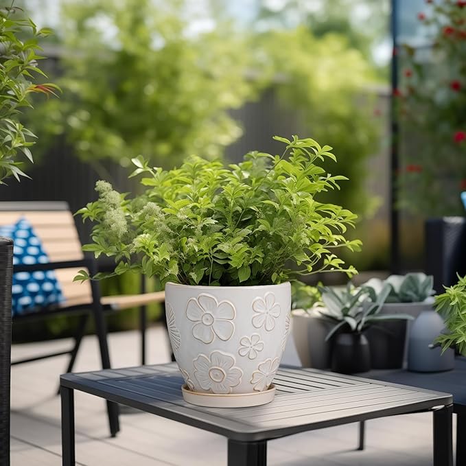 MPotTo 6.9 Inch Plant Pot with Drainage Hole and Saucer Ceramic Planter for Indoor Plant Flower Pot for Orchid Succulents Plants White