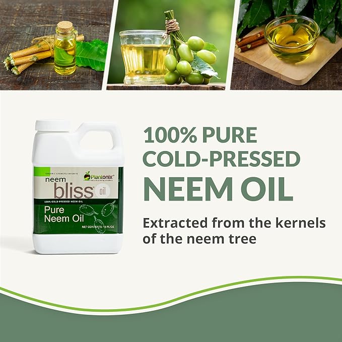 Neem Bliss (8 Fl Oz) - Pure Neem Oil Concentrate - 100% Cold Pressed Neem Oil - All-Natural Neem Oil Concentrate - Pure Neem Oil Extract - Unrefined Neem Oil for Hair - Neem Seed Oil Concentrate