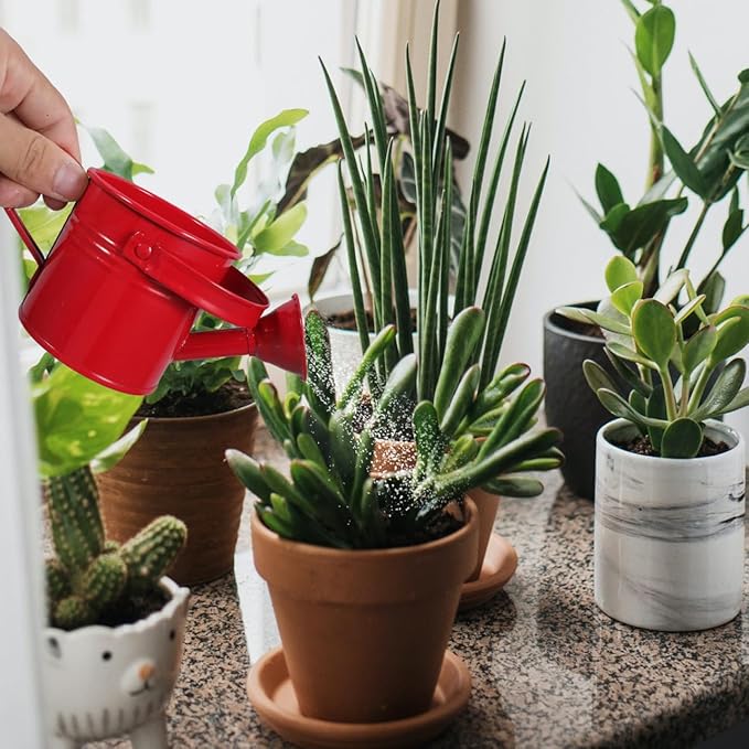 2PCS Metal Watering Can,Small Iron Kid Watering Can Indoor Plants Sprinkling Kettle with Long Spout,Boys Girls Garden Watering Pot for Outdoor Plants or Play Time(Random Colors)