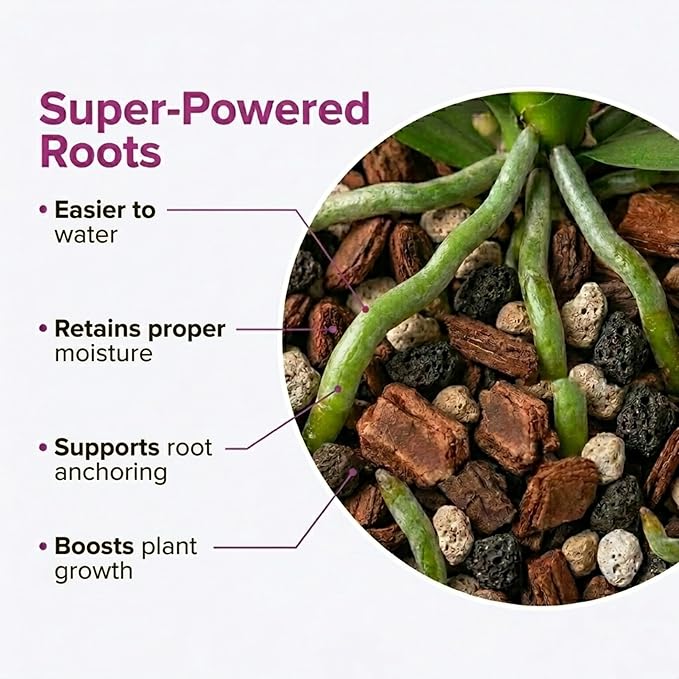 Molly's Orchid Potting Mix - Premium Gritty Soilless Orchid Mix - Chunky High Drainage vs Standard Potting Soil for Indoor Plants - Contains Bark, Coco Chips, Akadama, Pumice, Lava Rock 10 Dry Quarts