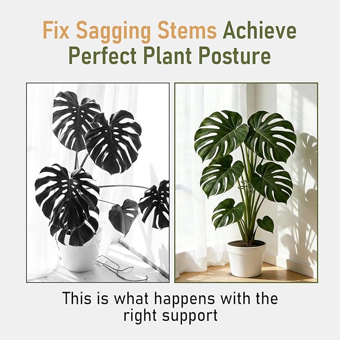 40PCS Forest Green Plant Stem Support, Invisible Stem Supports for Indoor Plants, Plastic Reusable Plant Support Clips, Indoor Plants Accessories