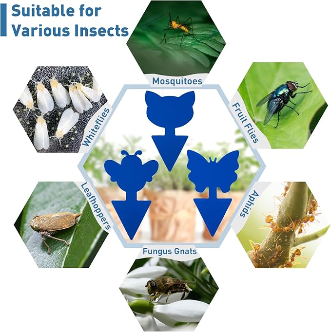 48 Pack Fruit Fly Traps for Indoor Outdoor, 3 Shapes Blue Sticky Bug Traps, Double-Side Fungus Gnat Killer for Houseplants, Mosquitos, Flying Insects