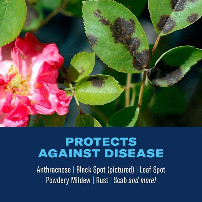 BioAdvanced 3-In-1 Insect, Disease and Mite Control, Ready-to-Use, 24 oz, Plant Bug Spray, Fungicide for Plants and Trees