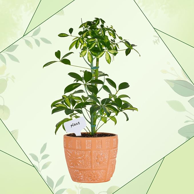 5 Pack Stackable Monstera Support Twig Plant Stakes, Plant Support Stakes for Indoor Outdoor Plants Holder Sticks for Climbing Plants Monstera Pothos Philodendron