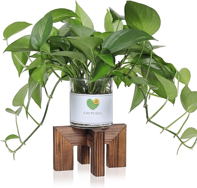 Vigordream Plant Stand, Indoor/Outdoor Wood Plant Holder, Single Flower Pot Stand, Sturdy Planter Stands (Walnut, Fit 2.5-6 inch pots)