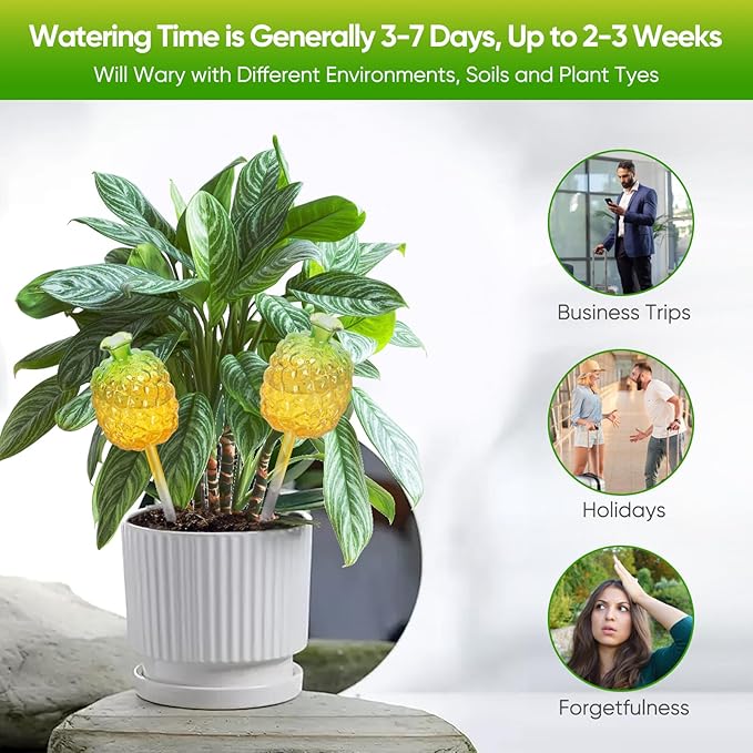 DDMY Plant Watering Globes, 270ML Large Capacity Self Watering Planter Insert for Indoor & Outdoor Plants Self Plant Watering Devices for Plant Lovers, Glass Watering Globes for Everyday Use (3 Pack)