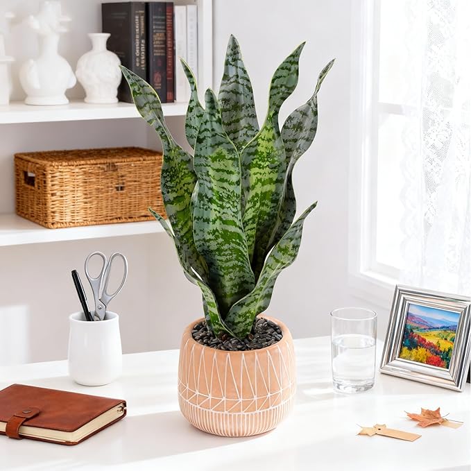 Artificial Realistic Snake Plant 17" with Concrete Pot Fake Snake Plants Sansevieria Greenery Faux Snake Plant for Home Office Living Room Housewarming Gifts Indoor Decor