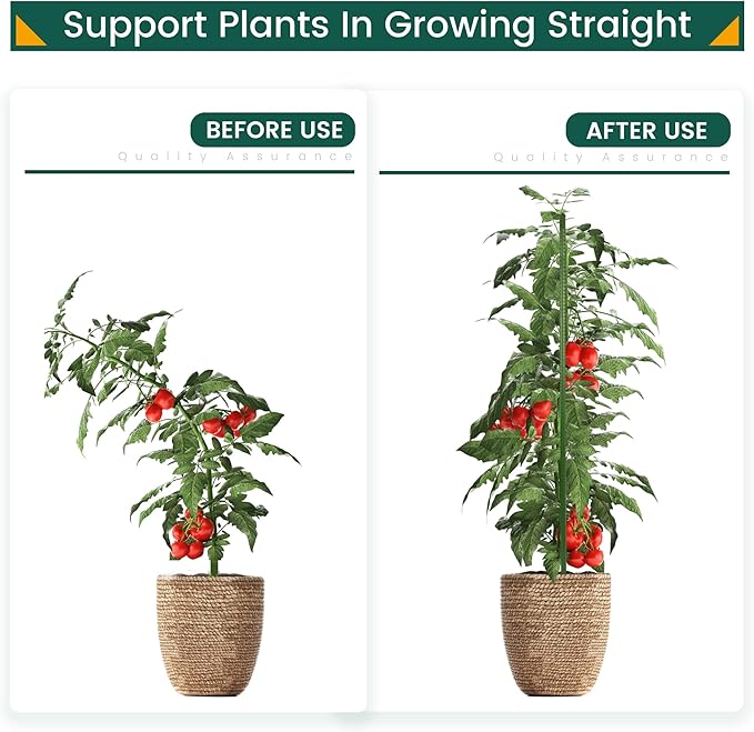 PROWORX 36 Inch 3 Ft Plant Support Garden Stakes 25 PCS, Sturdy Steel Plastic Coated Sticks for Outdoor Growing Climbing, Tomato, Trees, Cucumber, Beans