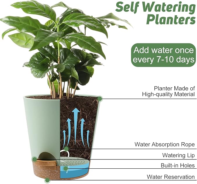 YNNICO Indoor Self Watering Planters with Drainage Holes and Saucers, 8, 7, 6.5, 6, 5.5, 5 Inches, Green, 6 Pots.
