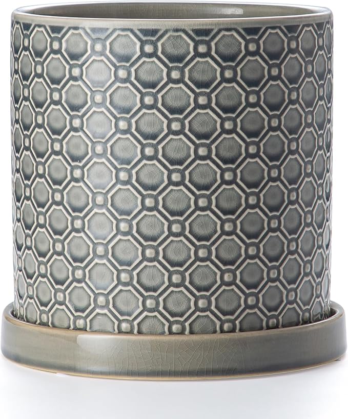 8 Inch Plant Pot: Ceramic Planter with Drainage Hole & Saucer Indoor Outdoor Plants - Cylinder Round Flower Pot for Home Office - Modern Decorative - Medium Grey