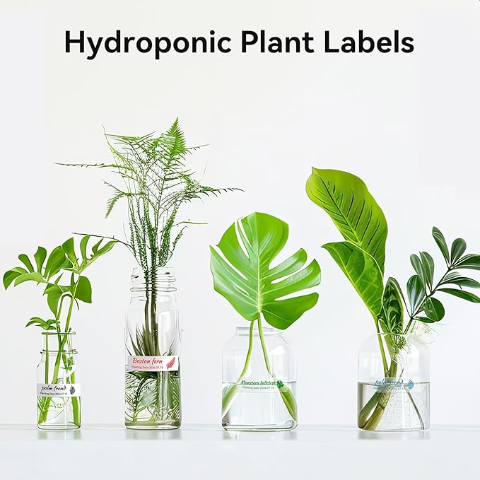 NIIMBOT Plant Labels 13×45mm (0.51'' x 1.77''), for N1(B18) Label Maker, Suitable for Outdoor Indoor Plant Potted Tag, PET Material, Long Storage, Waterproof and High-Temperature Resistance, Clear