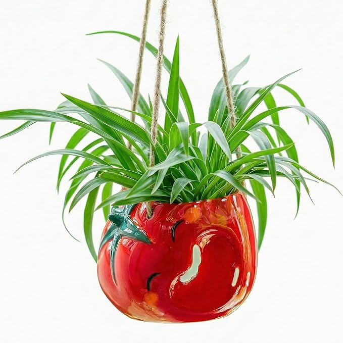 Cute Plant Pot - Funny Hanging Planter Gardening Gifts for Plant Lovers Women Mother House Warming - Smiley Red Planter for Indoor Outdoor