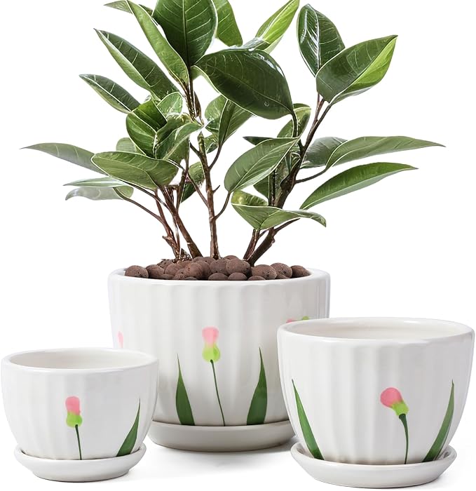 STHIE Ceramic Plant Pots with Drainage Holes and Saucers, Round White Flower Pots for Indoor Plant, Diameter 3.3/4.3/5.5 Inches Small Flower Planters Set of 3