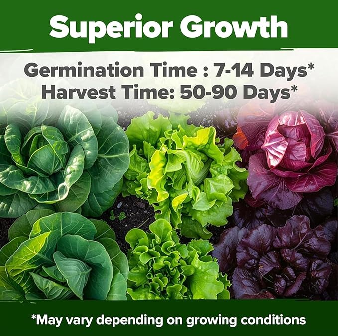 HOME GROWN 20 Variety Lettuce Seeds 21,700+ Bulk Pack Heirloom Non-GMO High Germination, Romaine, Butterhead, Spinach, Kale, Iceberg, Continuous Harvest Indoor Outdoor Hydroponic Garden (20 Varieties)