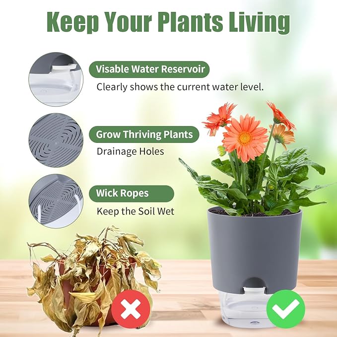 Oliz 6.3 Inch Self Watering Planter Pots for Indoor Plants, 3 Packs African Violet Pots with Wick Rope and Visible Reservoir Self Watering Planter for Herb, Houseplants