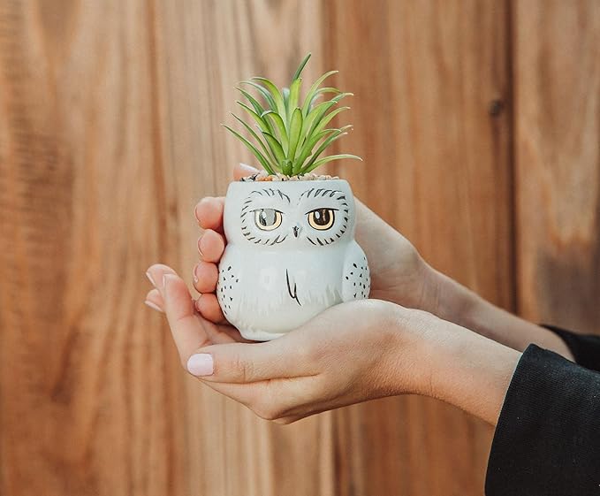 Harry Potter Hedwig 3-Inch Ceramic Mini Planter with Artificial Succulent | Small Flower Pot, Faux Indoor Plants for Desk Shelf, Home Decor Trinket Tray | Wizarding World Gifts and Collectibles