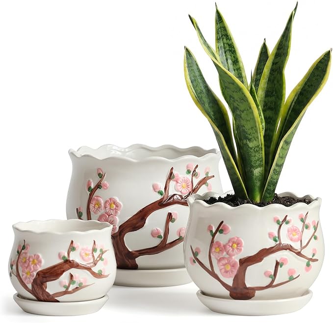 STHIE Ceramic Plant Pots with Drainage Holes and Saucers, Round Flower Pots for Indoor Plant, 4/5.2/6.6 Inches Small Flower Planters Set of 3