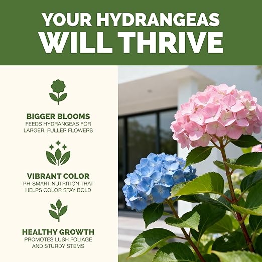 Hydrangea Fertilizer – Liquid Plant Food for Bigger Blooms, Rich Flower Color & Stronger Root Development, 32 oz