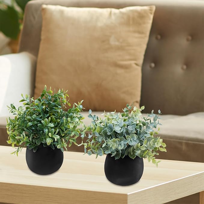 Winlyn Set of 3 Small Potted Faux Plants 8" Artificial Eucalyptus Rosemary Boxwood Plants in Black Concrete Pot Desk Plants for Home Office Bathroom Kitchen Counter Shelf Coffee Table Windowsill Décor