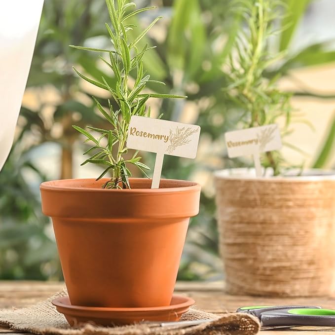 JarThenaAMCS 24Pcs Wooden Plant Label Signs 12 Styles Spring Summer Garden Herb Markers Wood T-Type Tags Reusable Plant Stake Tags with Names for Nursery Indoor Outdoor Garden Decor