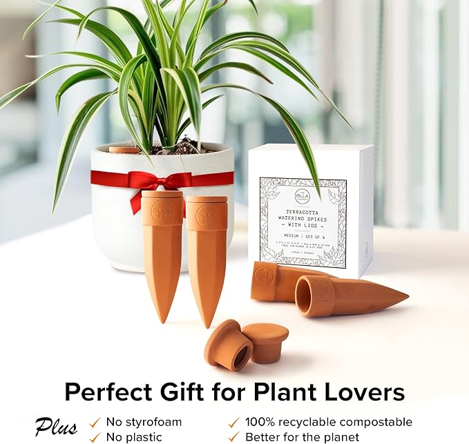 The Olla Company Plant Watering Spikes with Lids - Ideal for 5”-9” Pots - Vacation Friendly - Terracotta - Medium - Set of 4