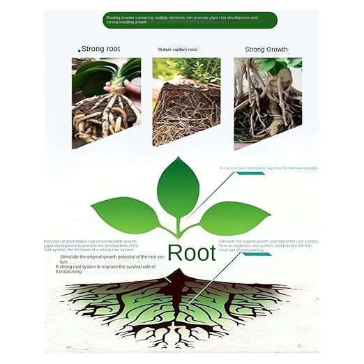 Rooting Powder for Cuttings, with Important Early Growth Support, 35g, Root Growth Stimulator Plant Booster, Indoor Plant Fertilizer, Promotes Healthy Stem, for Citrus, Vegetables, Orchids