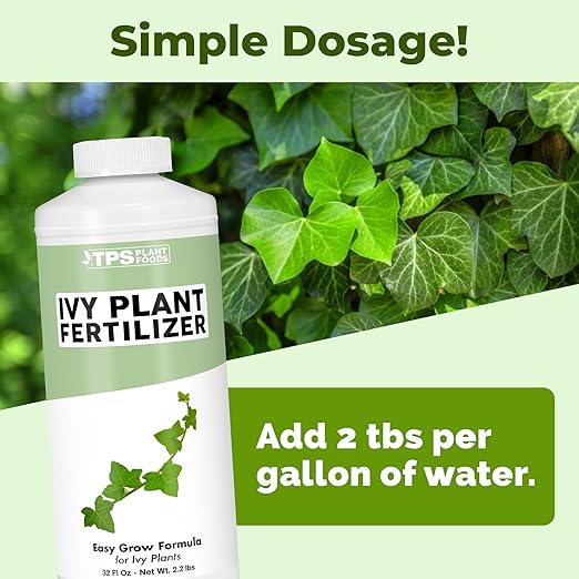 Ivy Plant Food – Liquid Plant Food for Longer Vines, Rich Green Leaves & Healthy New Growth, 32 oz