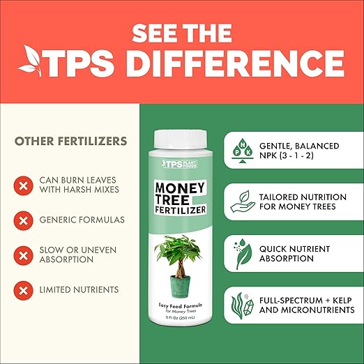 Money Tree Fertilizer – Liquid Plant Food for Lush Foliage, Healthy New Growth & Stronger Roots, 32 oz
