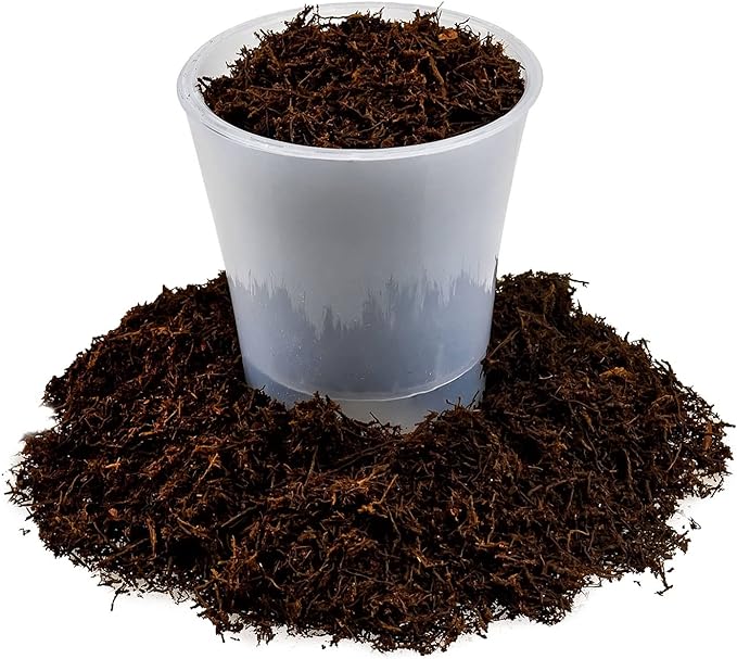 Premium New Zealand Tree Fern by GARDENERA - Orchid and Epiphytal Plants Growing Medium and Reptile Substrate - 1 Quart Bag