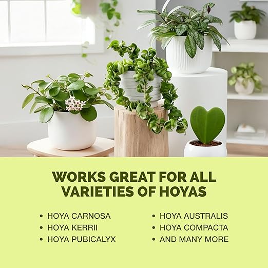 Hoya Fertilizer – Liquid Plant Food for More Blooms, Thick Waxy Leaves & Longer Vines, 32 oz