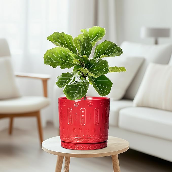 Eightpot Ceramic Plant Pots, 8 Inch Plant Pots Indoor Outdoor, Round Flower Pot with Drainage Hole and Sacuer, Boho Pot for Plants, Decorative Planter, Home Room Bathroom Decor, Garden Gifts, Red