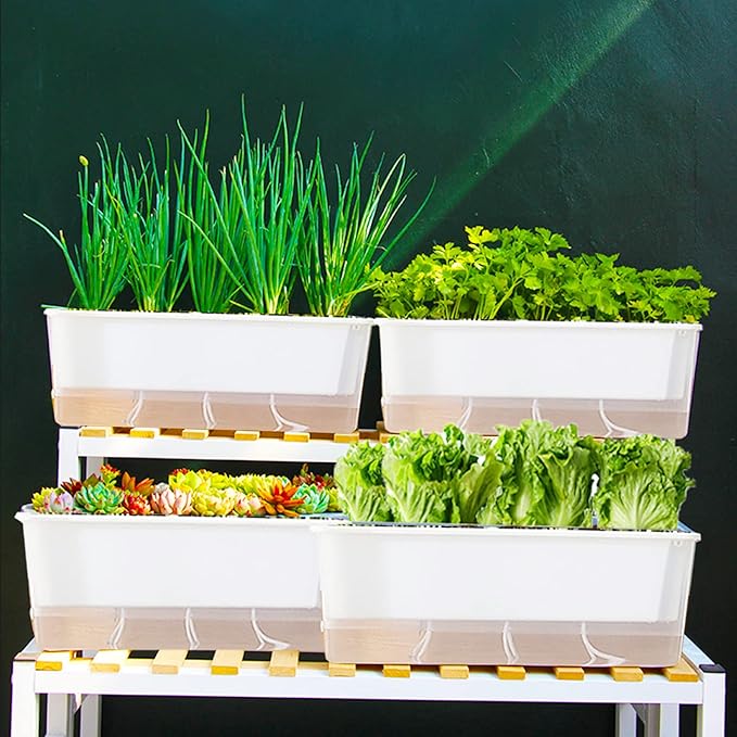 FAMZ Self Watering Pots for Indoor Plants 3 Pack Transparent Rectangular Planter, Vegetable Planters for Windowsill Patio Garden Balcony Home Porch Yard Indoor Outdoor, White