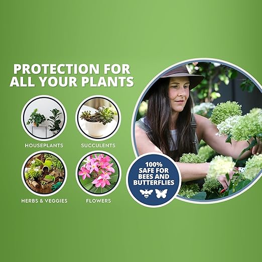 Plant Wash Spray – Neem Oil & Peppermint Oil Formula – Cleans & ConditionsLeaves, Removes Dust & Residue – Indoor & Outdoor Plant Care, Leaf Cleaner for Healthy, Vibrant Foliage Ready to use Spray