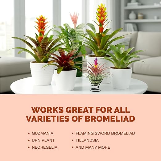 Bromeliad Fertilizer – Liquid Plant Food for Brighter Color, Stronger Roots & Healthy Tropical Growth, 32 oz