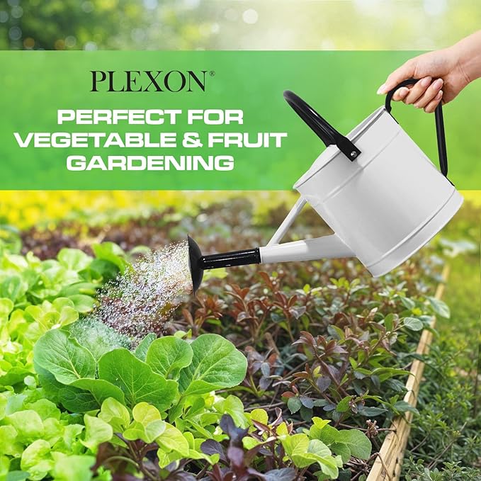 Plexon 1 Gallon Metal Watering Can Outdoor, Flower Plant Gardening Garden Large Watering Can Pot, Black Galvanized Steel Handles and Removable Spray Spout, White