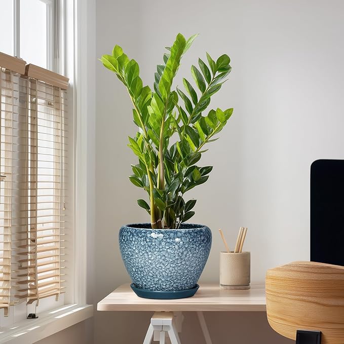 10 Inch Plant Pot - Ceramic Pots for Plants with Drainage Hole and Saucer, Ceramic Planters for Indoor Outdoor Plants, Round Flower Pots, Entryway Decor, Gifts for Plant Lovers, Stone Blue