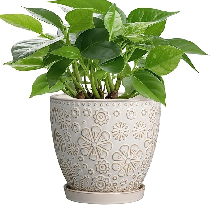 MPotTo 6.9 Inch Plant Pot with Drainage Hole and Saucer Ceramic Planter for Indoor Plant Flower Pot for Orchid Succulents Plants White