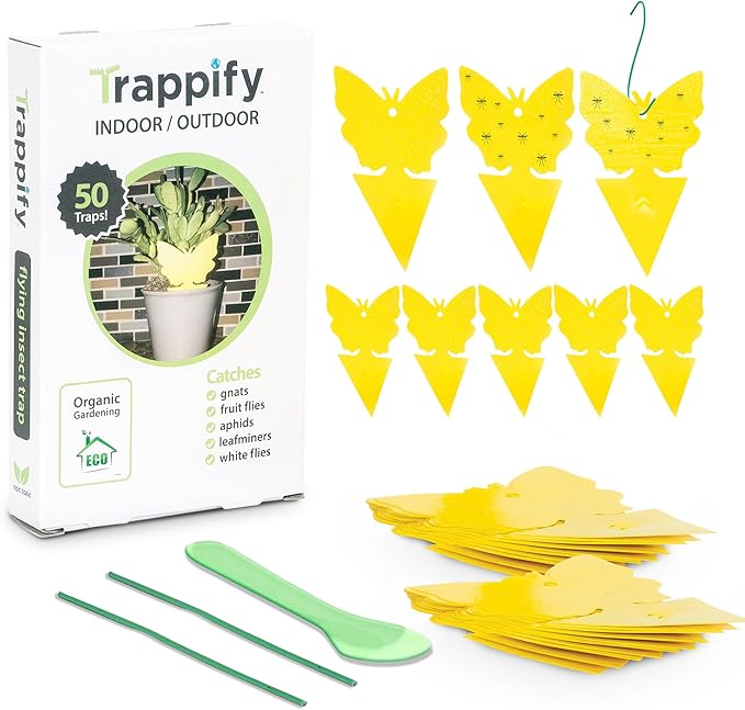 Trappify Sticky Gnat Traps for House Indoor - Yellow Fruit Fly Traps for Indoors | Outdoor Plants | Insect Catcher for White Flies, Mosquitos, Fungus Gnats | Disposable Glue Fly Trap Indoor (50 Pack)